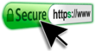 Secure Website Header