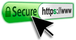 security enabled Secure Website Header